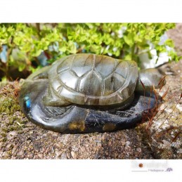 Labradorite Tortue