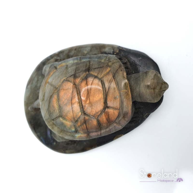 Labradorite Tortue