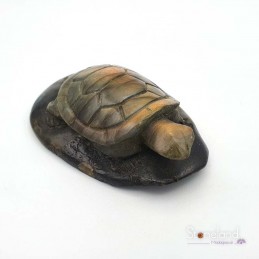 Labradorite Tortue