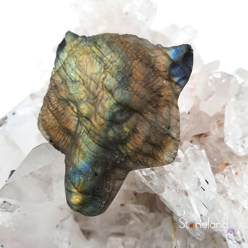 Labradorite Loup