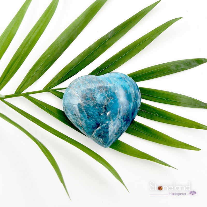 Cœur - Apatite bleue