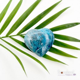 Cœur - Apatite bleue