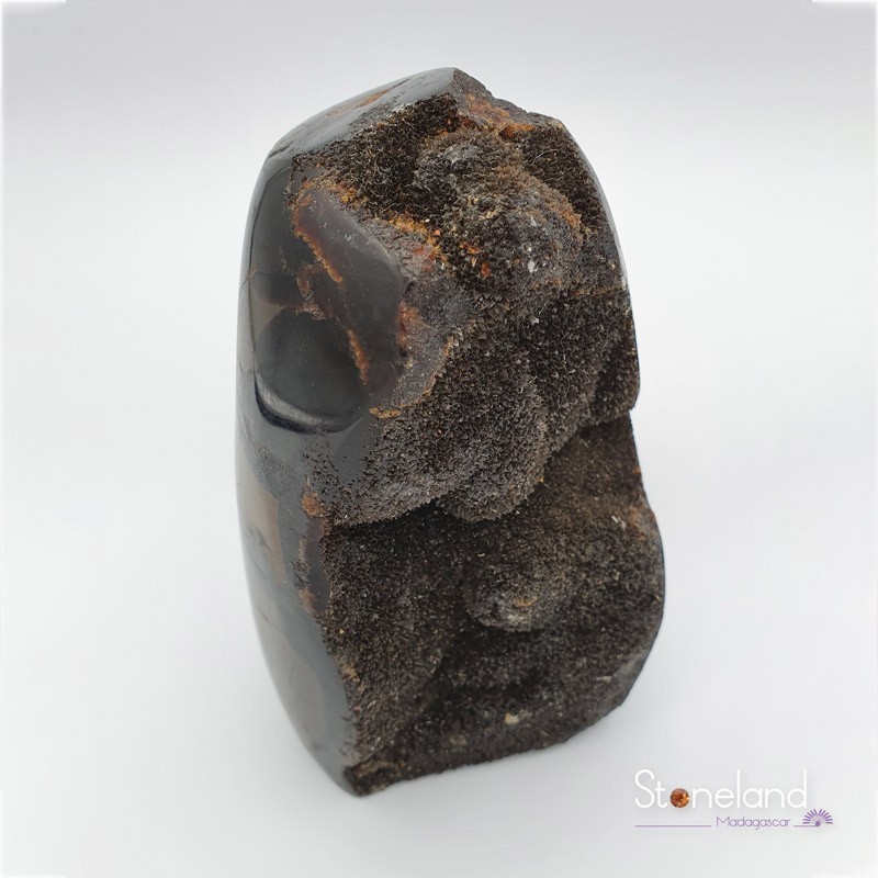 Pierre forme libre - Septaria sauvage