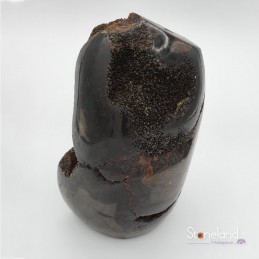 Pierre forme libre - Septaria sauvage