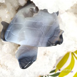 Pierre forme libre - Agate
