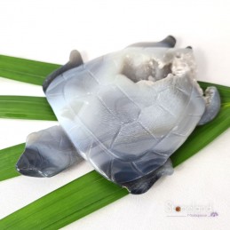 Pierre forme libre - Agate