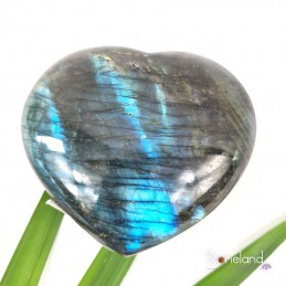 Coeurs  - Labradorite