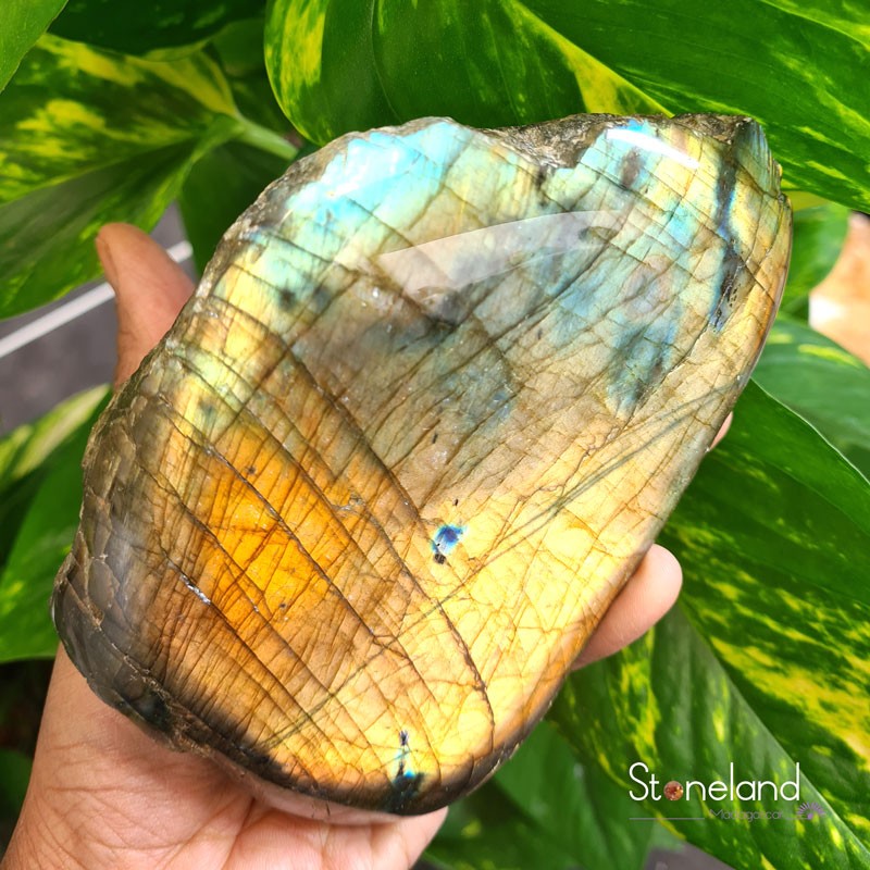Labradorite face brute et face polie