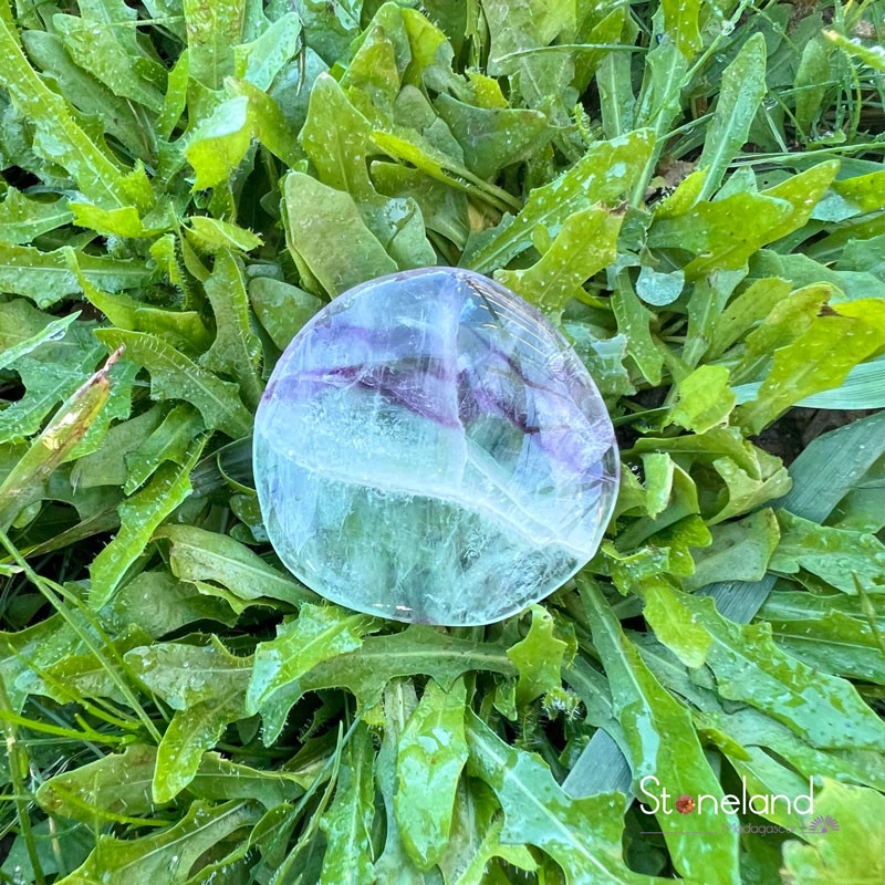 Galet Plat - Fluorine