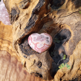 Bracelet - Rhodochrosite