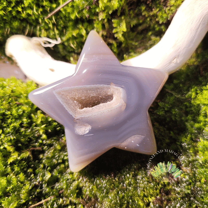 Agate -Tortue