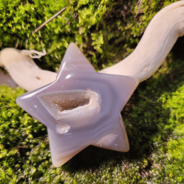 Agate -Tortue