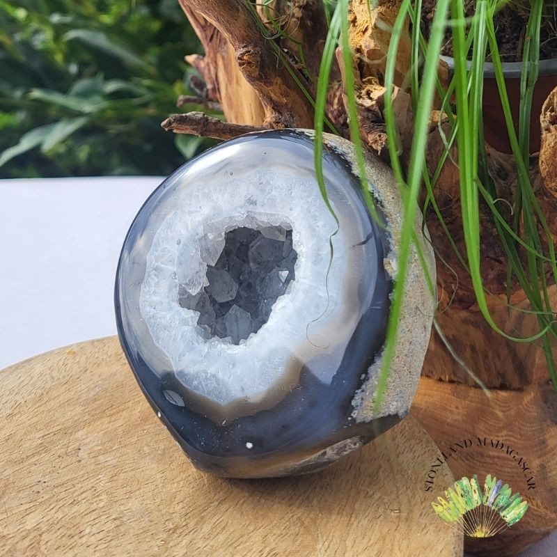 Agate coco face brute/face poli