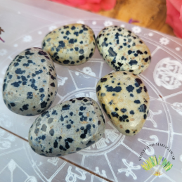 Galet -Jaspe dalmatien