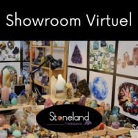 Showroom Virtuel